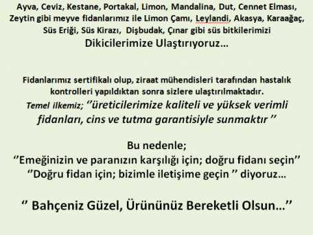 Saydam Fidancılık