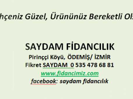 Saydam Fidancılık