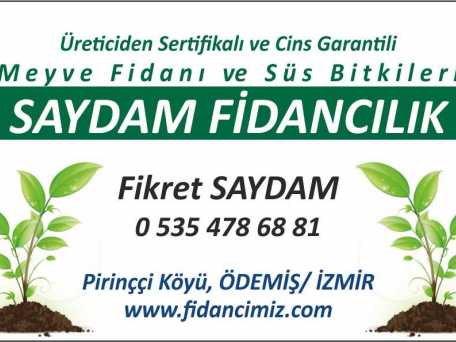 Saydam Fidancılık